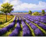Lavendelfeld 40x50cm malen nach zahlen