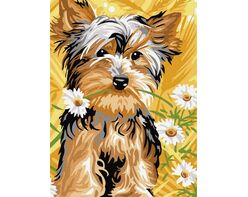 Yorkshire in Kamille