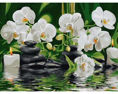 Orchideen im ruhigen Wasser