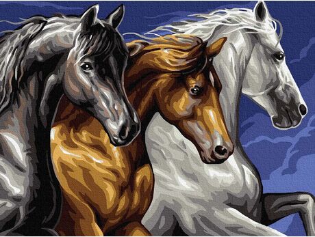 Drei Pferde malen nach zahlen