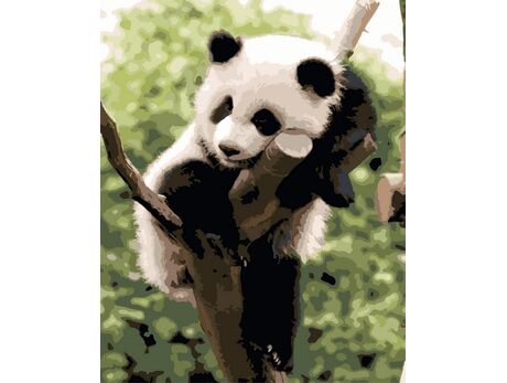 Panda malen nach zahlen