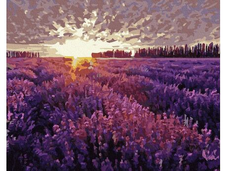 Sonnenuntergang über dem Lavendelfeld malen nach zahlen
