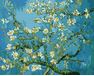 Mandelblüte, Van Gogh malen nach zahlen