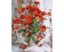 Rote Mohnblumen 50x65cm malen nach zahlen