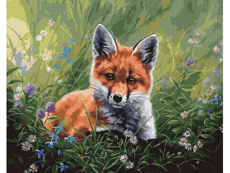 Fuchs im Gras malen nach zahlen