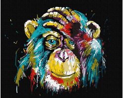 Regenbogen-Schimpanse