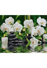 Orchideen im stillen Wasser 40x50cm