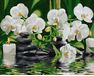 Orchideen im stillen Wasser 40x50cm malen nach zahlen