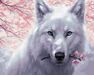 Weißer Wolf malen nach zahlen