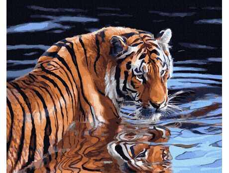 Tiger im Wasser malen nach zahlen