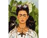 Frida Kahlo. Dornenhalskette und Kolibri-Porträt malen nach zahlen