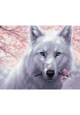 Weißer Wolf 50x65cm