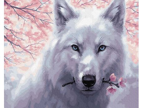 Weißer Wolf 50x65cm malen nach zahlen