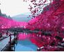 Sakura-Blüte malen nach zahlen