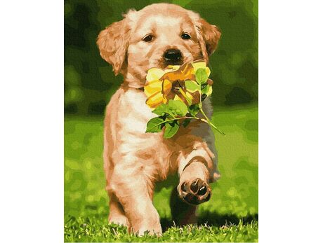 Hund mit Blume malen nach zahlen