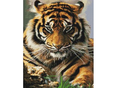 Blick des Tigers diamond painting