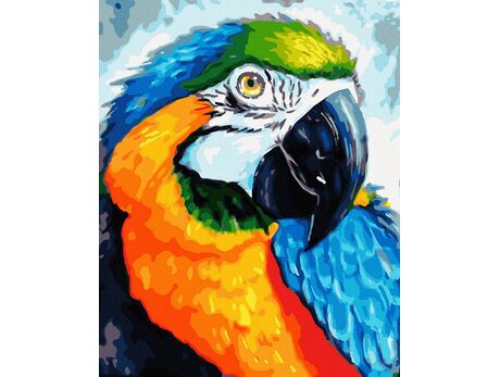 Regenbogen-Papagei malen nach zahlen