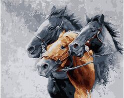 Drei stolze Pferde 50x65cm