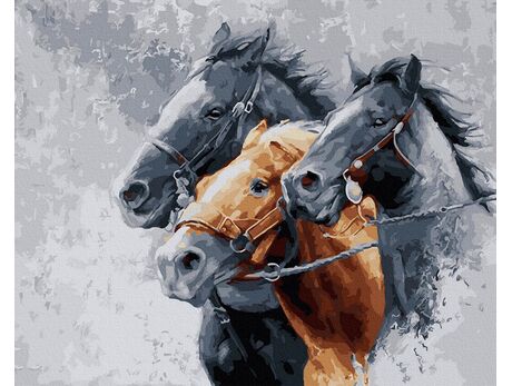 Drei stolze Pferde malen nach zahlen