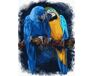 Unzertrennliche Papageien 30x40cm malen nach zahlen