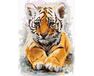 Baby-Tiger 30x40cm malen nach zahlen