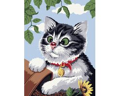 Ein unschuldiges Kätzchen