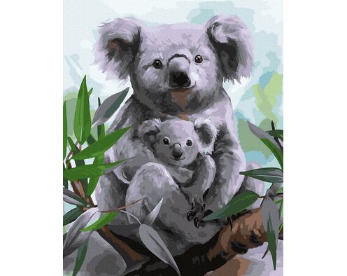 Koalas