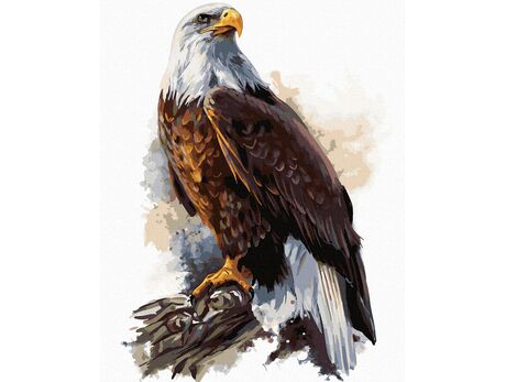 Adler mit Krone malen nach zahlen