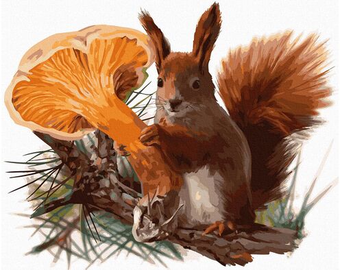 Hungriges Eichhörnchen 40x50cm