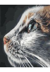 Es kam. Es sah. Es schnurrte.