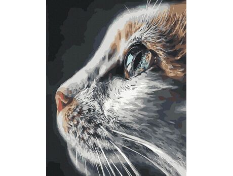 Es kam. Es sah. Es schnurrte. malen nach zahlen