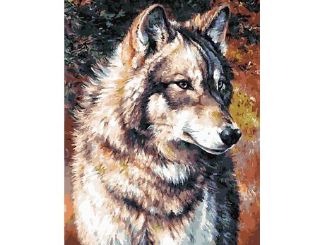 Ein einsamer Wolf malen nach zahlen