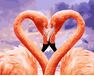 Flamingo verliebt malen nach zahlen