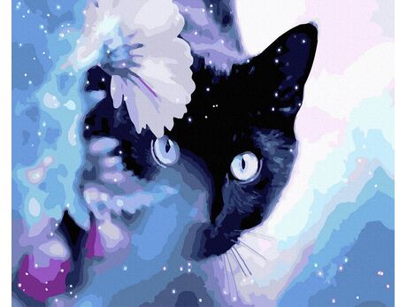 Neugierige schwarze Katze malen nach zahlen