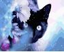 Neugierige schwarze Katze malen nach zahlen