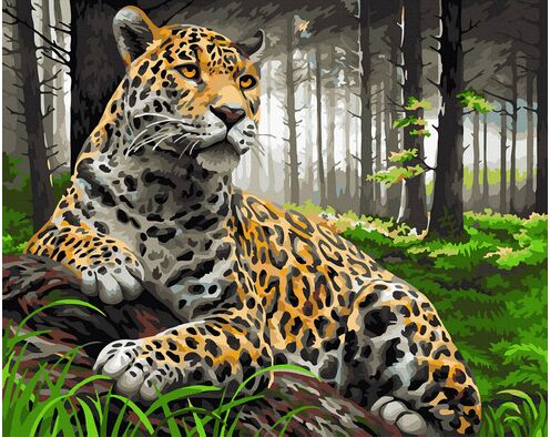Der majestätische Jaguar