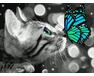 Kätzchen mit einem Schmetterling 30x40 cm malen nach zahlen