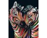 Colorful zebras 40x50 cm malen nach zahlen