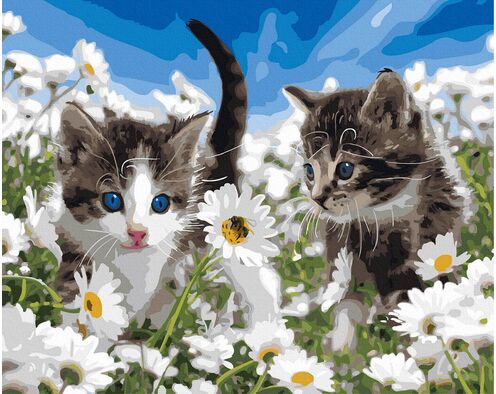 Kätzchen in einem Feld von Kamillen 40x50 cm