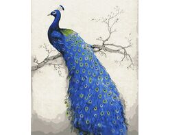 Pfau 40cm*50cm (Ohne Rahmen)