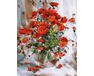 Rote Mohnblumen 40cm*50cm (Ohne Rahmen) malen nach zahlen