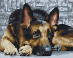 Treue des Hundes 40cm*50cm (Ohne Rahmen)