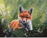 Fuchs im Gras 40cm*50cm (Ohne Rahmen) malen nach zahlen