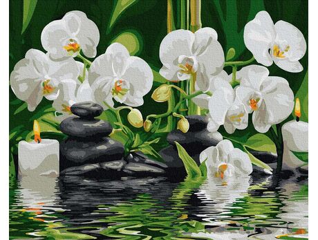 Orchideen im stillen Wasser 40cm*50cm (Ohne Rahmen) malen nach zahlen