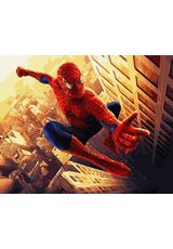 Spiderman 40cm*50cm (Ohne Rahmen)