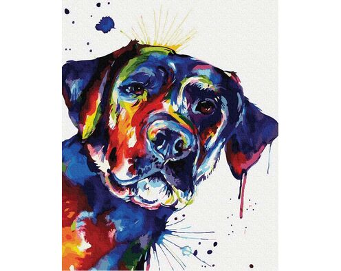Bunter Hund 40cm*50cm (Ohne Rahmen)