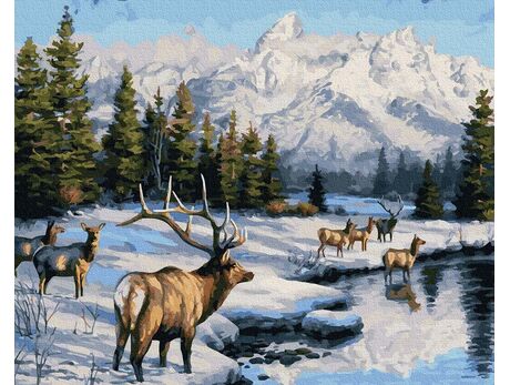 Die Schönheit eines wilden Winters 40cm*50cm (Ohne Rahmen) malen nach zahlen