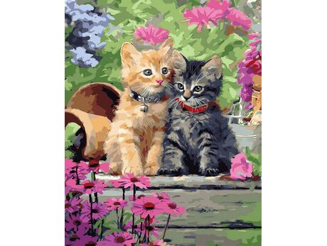 Kätzchen in einer süßen Umarmung 40x50 cm malen nach zahlen