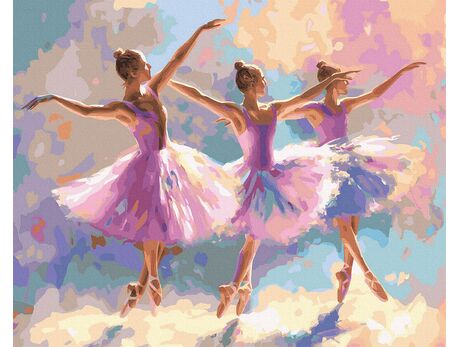 Swan Lake 40x50 cm malen nach zahlen