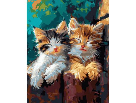 Nickerchen 40x50 cm malen nach zahlen